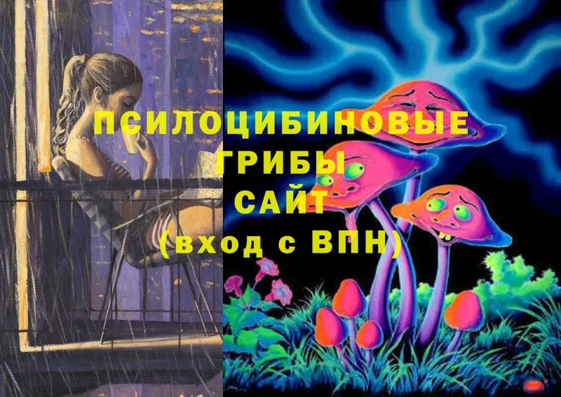 Псилоцибиновые грибы MAGIC MUSHROOMS  Майкоп 